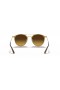 Ray-Ban RB3546 XL (52 - 20) med Brune linser og Brown frame Solbriller