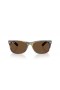 Ray-Ban RB2132 Nye Wayfarer Klassiske M (55 - 18) med Brune linser og Brown frame Solbriller