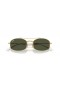 Ray-Ban RB3719 M (51 - 20) med Grønne linser og Gull frame Solbriller