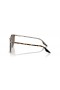 Ray-Ban RB2204 S (51 - 20) med Brune linser og Brown frame Solbriller