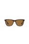Ray-Ban RB4184 M (54 - 17) med Brune linser og Tortoise frame Solbriller