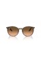 Ray-Ban RB2204 S (51 - 20) med Rosa linser og Brown frame Solbriller