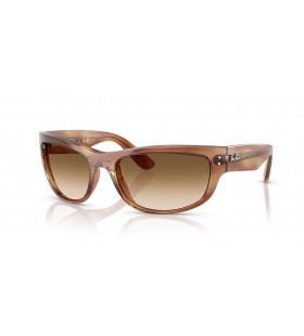 Ray-Ban RB2289 Mega Balorama XL (63 - 19), med Brune linser og Tortoise frame Solbriller