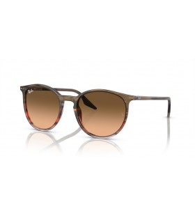 Ray-Ban RB2204 L (54 - 20) med Rosa linser og Brown frame Solbriller