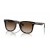 Ray-Ban RB4420 XL (65 - 18) med Brune linser og Tortoise frame Solbriller