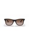 Okulary przeciwsłoneczne Ray-Ban RB4440N Blaze Wayfarer L (0 - 141) z brązowymi soczewkami i черепаховой oprawce