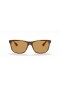 Ray-Ban RB4181 M (57 - 16), cu lentile Maro și broasca Țestoasă, ochelari de Soare cadru
