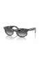 Ray-Ban RB2242 Wayfarer Oval L (53 - 22), cu lentile Gri și broasca Țestoasă, ochelari de Soare cadru