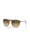 Ray-Ban RB2203 L (55 - 20), cu lentile Maro si Maro cadru ochelari de Soare