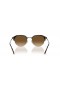 Ray-Ban RB4429 XL (53 - 20), cu lentile Maro si Maro cadru ochelari de Soare