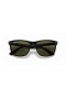 Ray-Ban RB4181 M (57 - 16), cu lentile Verzi și Negre, ochelari de Soare cadru