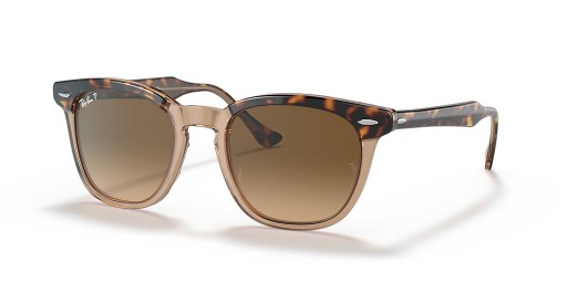 Ray-Ban RB2298 는 M(52-21)으로 브라운 렌즈와 거북이는 프레임 선글라스