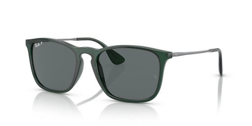 Ray-Ban RB4187 크리스 M(54-18)그레이트 렌즈 및 녹색 구조 색안경