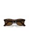 Ray-Ban RB2140 원 Wayfarer Classic L(50-22 일)으로 브라운 렌즈와 거북이는 프레임 선글라스