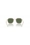 Ray-Ban RB9594S 아이 XL(49-19 일)녹색 렌즈 및 프레임이 금 선글라스