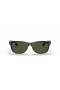 Ray-Ban RB2132 새로운 나그네 고전 S(52-18 일)녹색 렌즈와 거북이는 프레임 선글라스