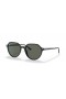Ray-Ban RB2195Thalia S(53-18 일)녹색 렌즈 및 프레임 검 선글라스