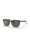 Ray-Ban RB4362L(55-18 일)녹색 렌즈 및 프레임 검 선글라스
