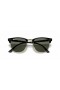 Ray-Ban RB3016Clubmaster 클래식 M(49-21)그린 렌즈 및 프레임 검 선글라스