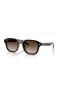 Ray-Ban RB4458D XL(65-18)으로 브라운 렌즈와 브라운 구조 색안경
