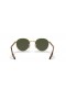 Ray-Ban RB3691XXS(48-21)그린 렌즈 및 프레임이 금 선글라스