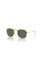 Ray-Ban RB9594S 아이 XL(49-19 일)녹색 렌즈 및 프레임이 금 선글라스