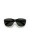 Ray-Ban RB4216L(56-20)녹색 렌즈 및 프레임 검 선글라스