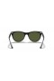 Ray-Ban RB2185Wayfarer II 고 L(55-18 일)녹색 렌즈 및 프레임 검 선글라스