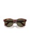 Ray-Ban RB2241Wayfarer 방법 XL(54-21)그린 렌즈와 브라운 구조 색안경