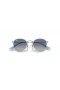 Ray-Ban RB9547S 라운드 아이들 S(44-19)그레이트 렌즈와 은색 구조 색안경