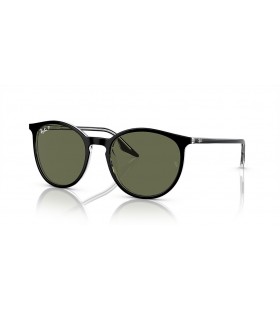Ray-Ban RB2204L(54-20)녹색 렌즈 및 프레임 검 선글라스