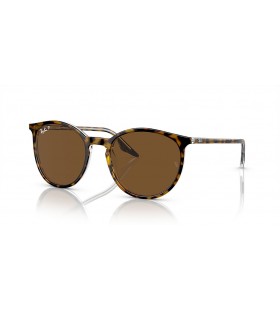 Ray-Ban RB2204S(51-20)ìœ¼ë¡œ ë¸Œë¼ìš´ ë Œì¦ˆì™€ ë¸Œë¼ìš´ êµ¬ì¡° ìƒ‰ì•ˆê²½