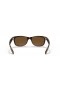 Sunčane naočale Ray-Ban RB2132 New Wayfarer Classic M (55-18) sa smeđim staklima i черепаховой okvir