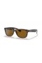 Sunčane naočale Ray-Ban RB2132 New Wayfarer Classic XL (58-18) sa smeđim staklima i черепаховой okvir