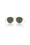 Sunčane naočale Ray-Ban RBR0103S Round Reverse XL (55-21) sa zelenim staklima i zlatni okvir