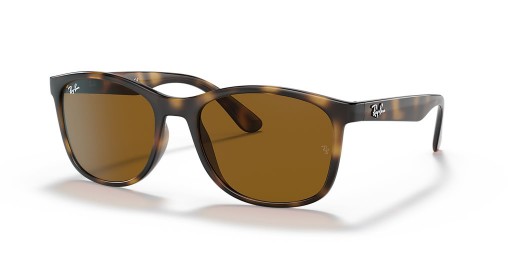 Ray-Ban RB4374 XL (56 - 19) med Bruna linser och Tortoise frame Solglasögon