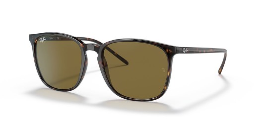 Ray-Ban RB4387F M (55 - 18) med Bruna linser och Tortoise frame Solglasögon