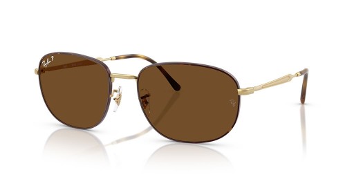 Ray-Ban RB3754 XXL (60 - 19) med Bruna linser och Havanna ram Solglasögon