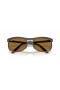 Ray-Ban RB4452CH Chromance Liteforce XL (56 - 20) med Bruna linser och Brun ram Solglasögon