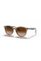 Ray-Ban RB4305F L (53 - 19) med Bruna linser och Beige ram Solglasögon