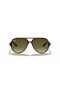 Ray-Ban RB4125 Cats 5000 Classic M (59 - 13) med Gröna linser och Tortoise frame Solglasögon