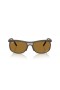 Ray-Ban RB4452CH Chromance Liteforce XXL (59 - 20) med Bruna linser och Brun ram Solglasögon