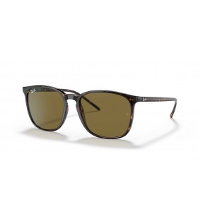 Ray-Ban RB4387F M (55 - 18) med Bruna linser och Tortoise frame Solglasögon