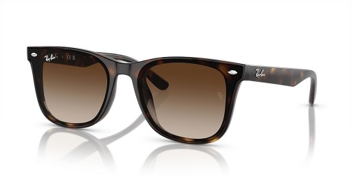 Ray-Ban RB4420 XL (65 - 18) Kahverengi lensli ve Kaplumbağa çerçeveli güneş Gözlüklü
