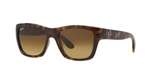 Ray-Ban RB4194 L (53 - 17) Kahverengi lensli ve Kaplumbağa çerçeveli güneş Gözlüklü