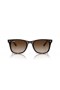 Ray-Ban RB4420 XL (65 - 18) Kahverengi lensli ve Kaplumbağa çerçeveli güneş Gözlüklü