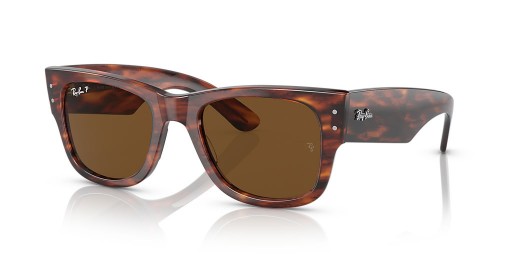 Ray-Ban RB0840S Mega Caminante M (51 - 21) con lentes Marrones y Marrones Gafas de sol de montura