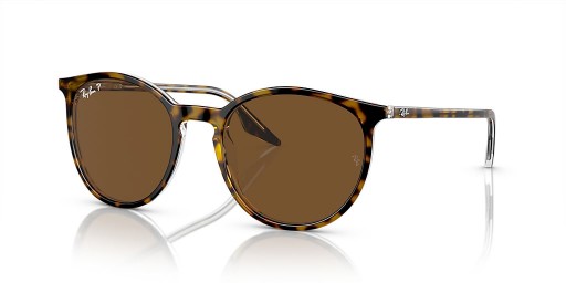 Ray-Ban RB2204 L (54 - 20) con lentes Marrones y Marrones Gafas de sol de montura