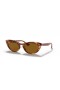 Ray-Ban RB4314N Nina M (54 - 18) con lentes Marrones y Marrones Gafas de sol de montura