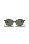 Ray-Ban RB4305 M (53 - 19) con lentes de color Verde y Negro Gafas de sol de montura